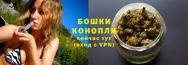 ПСИЛОЦИБИНОВЫЕ ГРИБЫ Волосово