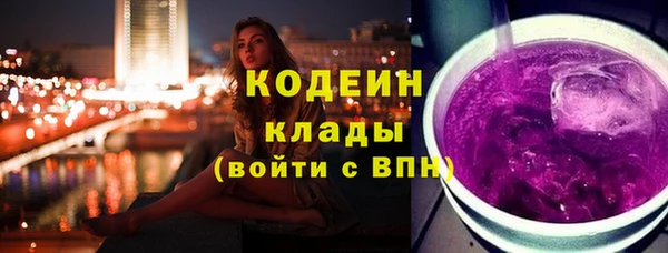 спиды Вяземский