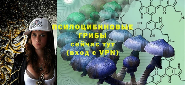 первитин Вязьма