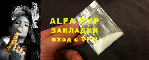 спиды Вяземский