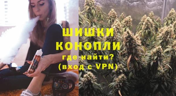 спиды Вяземский