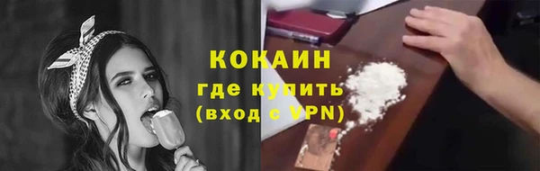 шишки Волоколамск