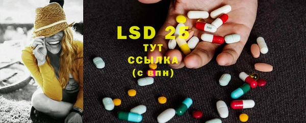 спиды Вяземский