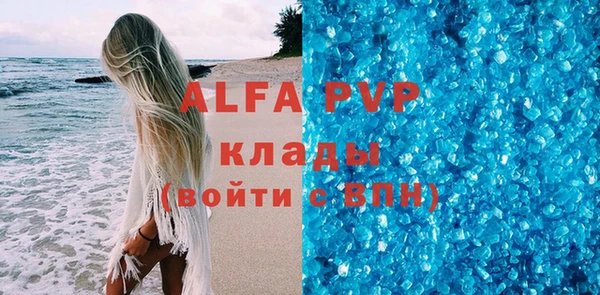 спиды Вяземский