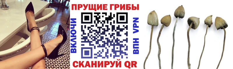 Галлюциногенные грибы ЛСД  blacksprut   Якутск  дарнет шоп 