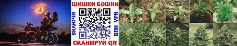 Конопля сатива  Якутск 